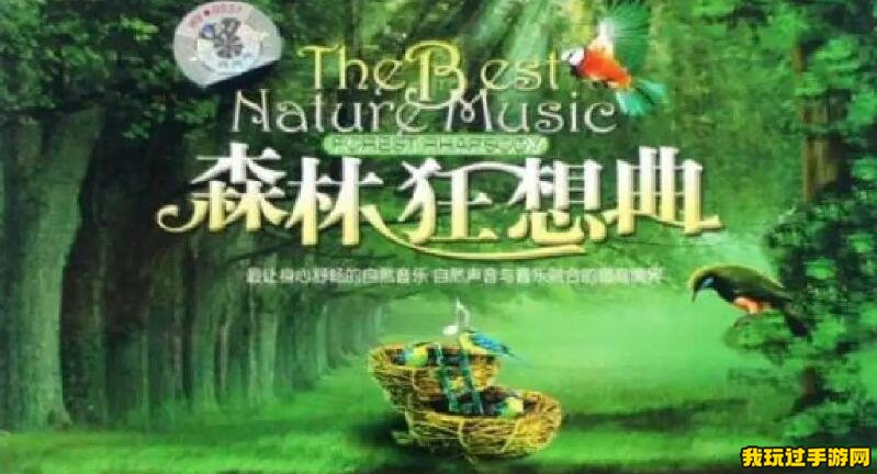 《光遇》森林狂想曲自然音乐完整版乐谱分享